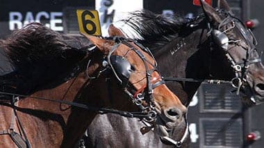 Racing